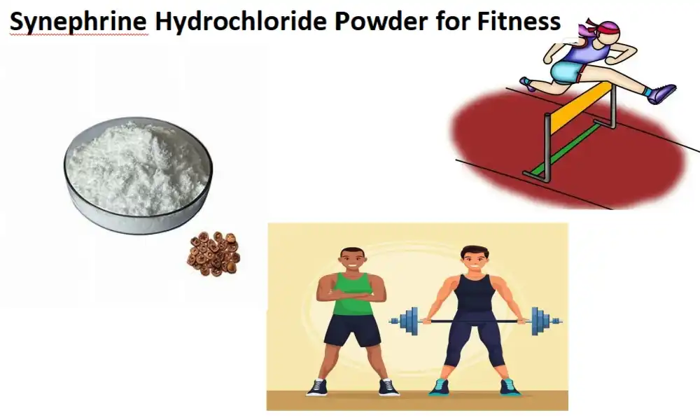 Synephrine Hydrochloride Powder for Fitness